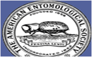American Entomological Society