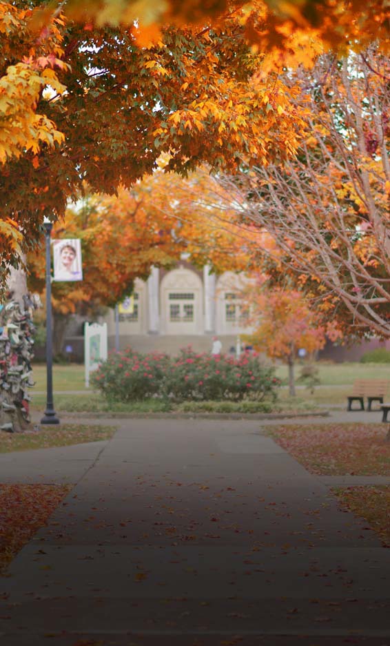 Quad facing Lovett with fall leaves