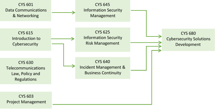 MS in Cybersecurity Management Courses