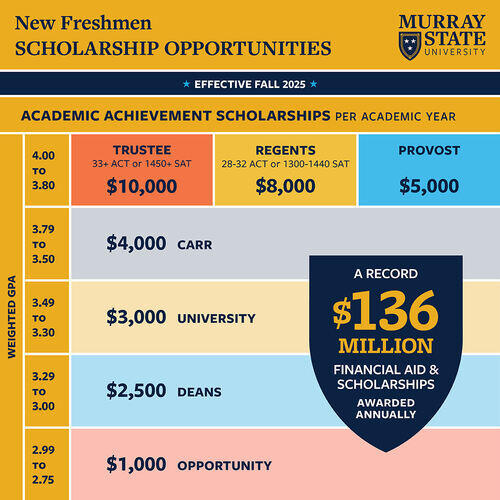 Chart of freshmen academic achievement scholarships