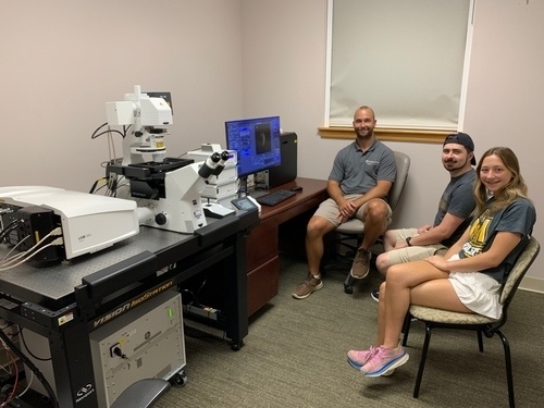 Students utilize the laser scanning confocal microscope