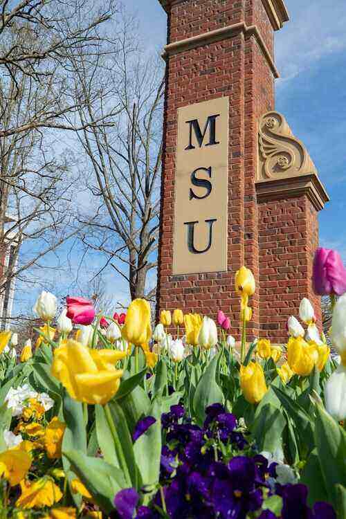MSU pillar with spring flowers