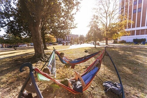 students using hammock hooks on campus