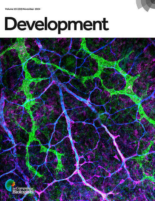 Cover of peer-review journal Development